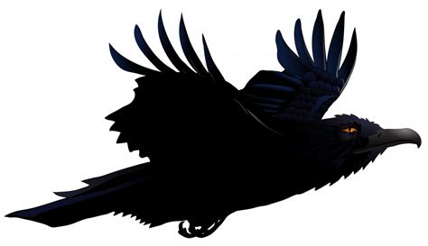 Flying Common Raven png - PNG All