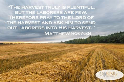 King Ministries International: The Harvest is Plentiful but the Laborers are Few.