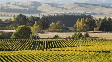 Discover Waipara's Artisanal Vineyards, New Zealand Wine Tours, Boutique Restaurants & Unique ...