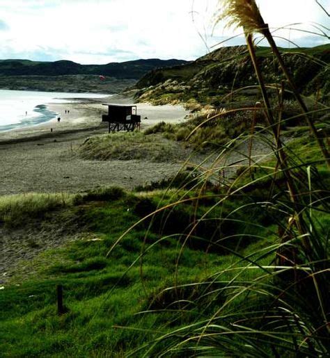 Raglan beaches. Surfing spots, swimming, beach walks.