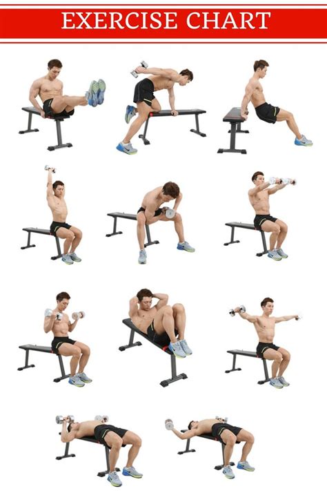 Get great muscle building workout at home with a help of a weight bench https://abmachinesguide ...