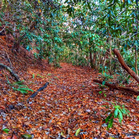 Bartram Trail (BT) – Anish Hikes