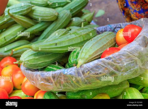 The close-up of towel gourd. Green vegetable at the farmer's local market Calcutta India Stock ...