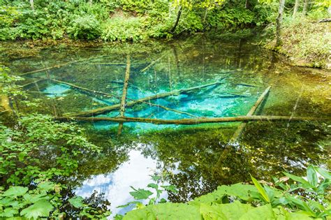 北海道の夏に行きたい観光スポット12選 | TABIPPO.NET