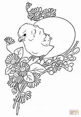 Easter Chick coloring Page  Free Printable Coloring Pages sketch template