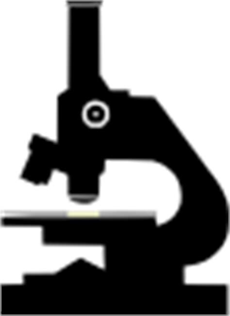 Microscope Clip Art at Clker.com - vector clip art online, royalty free & public domain