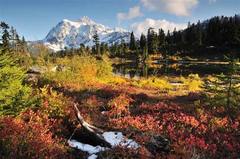 Best Places to See Fall Foliage Near Seattle - Thrillist