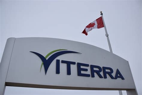 China's crackdown on Canadian canola expands as 2nd company, Viterra ...