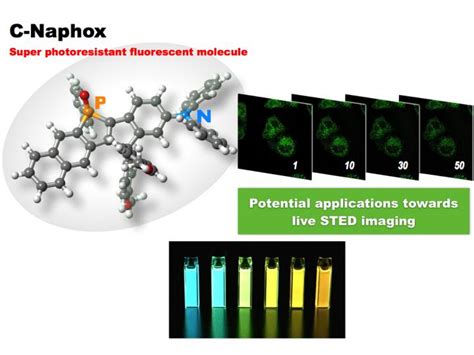 A Fluorescent Dye that Survives in Live Cell Imaging - Medical Design and Outsourcing