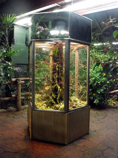 Terrarium for frogs and lizards Beautiful World Living Environments www.abeautifulwor... | Fish ...