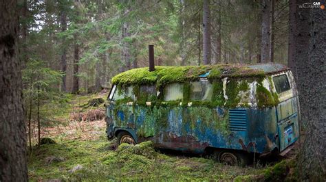 rusty, forest, Moss, Automobile - Cars Wallpapers: 1920x1080