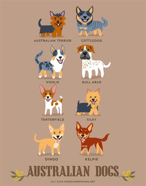 Dogs Of The World: Cute Posters Show The Origins Of 200+ Dog Breeds ...