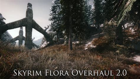 TES V - Skyrim Mods: Skyrim Flora Overhaul 2.0 - YouTube