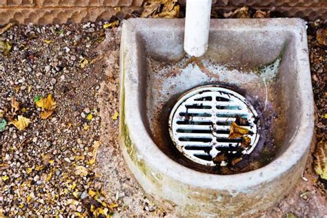 What to Do If You Find Your Outside Drain Clogged - Make it Mowery