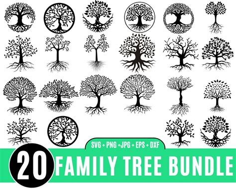 20 Bundle Arbre généalogique SVG, racines darbre SVG, arbre avec racines SVG, nos racines SVG ...