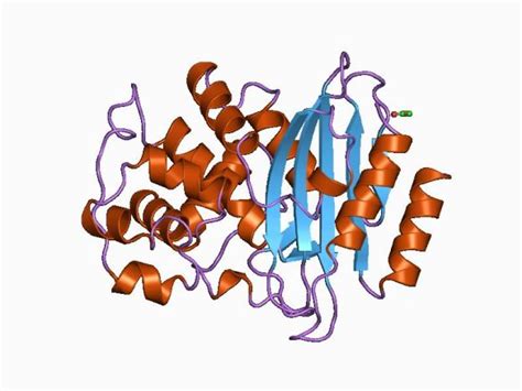 BETA-LACTAMASE: an important resistance mechanism in bacteria ...