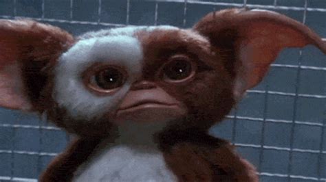 Gremlins Remake Put On The Fast Track By Warner Bros.