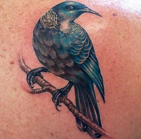 39 Best Tui Tattoo Ideas | tui, nz art, kiwiana