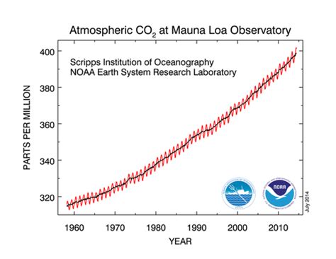 The Keeling Curve Explained | Science | Interactive | PBS LearningMedia