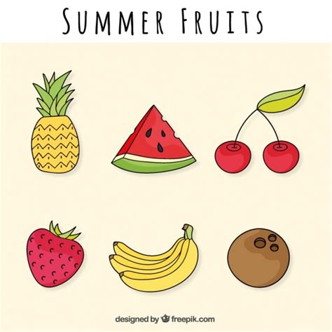 Free Vector | Summer fruits collection