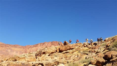 Colorado Plateau: Desert Canyons and Cultures - Wild Rockies Field Institute