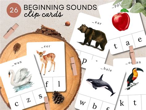 Phonics Flashcards Beginning Sounds Alphabet ABC Flash Cards - Etsy