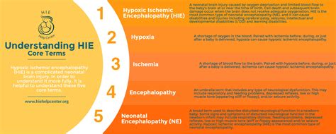 What Is Hypoxic-Ischemic Encephalopathy (HIE)?