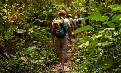 Hiking In The Tropical Rainforest – Betaivc