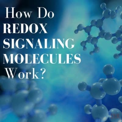 REDOX Signaling Molecules – Head2HeartHealing.com