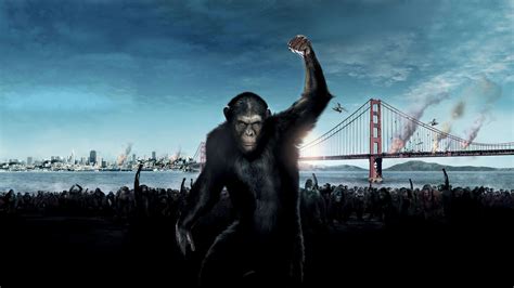 Rise of the Planet of the Apes Review - Film Takeout