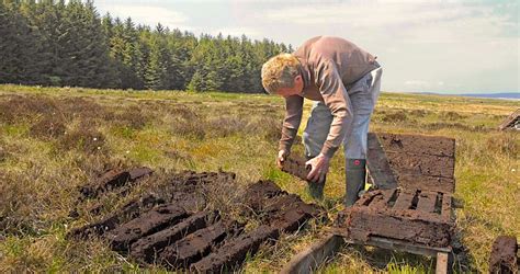 An Irish Bog Story for You. - A Letter from Ireland