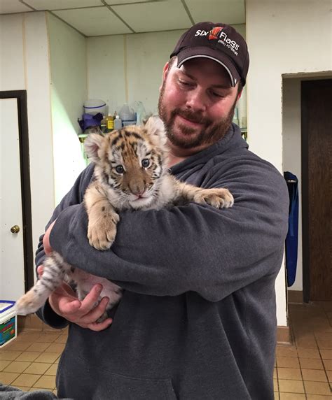 WATCH: Six Flags Shows Off Lion, Tiger Cubs It's Raising Together ...