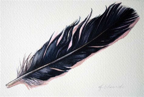 Raven Feather Drawing at GetDrawings | Free download