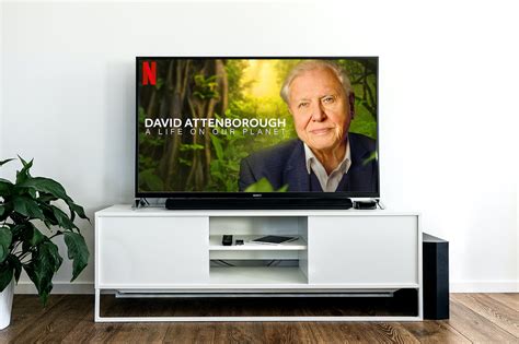 Why you should watch David Attenboroughs new documentary a life on our planet - Harvest ...