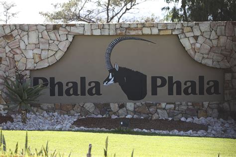 Cyril Ramaphosa’s Phala Phala Farm Puts Up African Buffaloes for ...