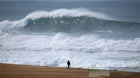 Surfers from all around the world - 23 January - NEWS - Nazaré Big Waves Surf - Portugal