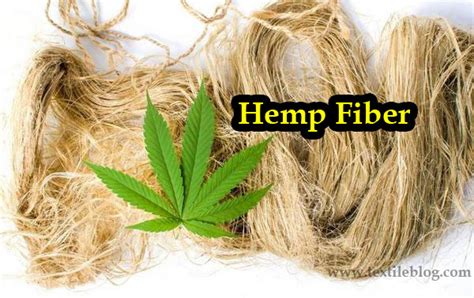 Hemp Fiber: Properties, Processing and Uses - Textile Blog