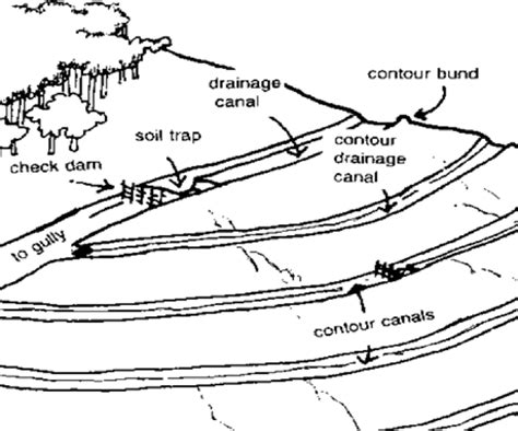 General Consideration of Contour farming | Download Scientific Diagram