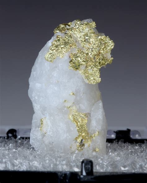 East Coast Sweepstakes #2: 2021 Native Gold – Mineral Fossil Show LLD