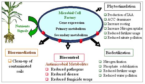 Science- Use of Biotechnology for Cleaning Up Our Environment #122