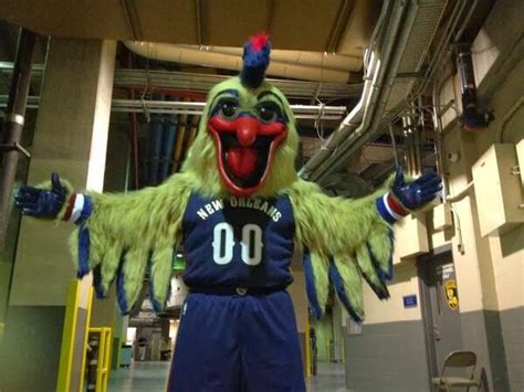 NBA new orleans pelicans mascot | U News