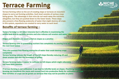 TERRACE FARMING • GrowPurpose Network