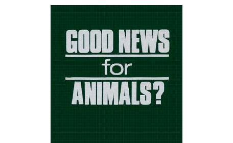 Book Review: “Good News for Animals? Christian Approaches to Animal Well-Being,” Edited by ...