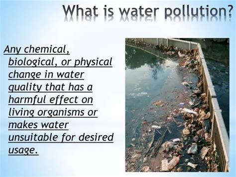 PPT - What is water pollution? PowerPoint Presentation, free download - ID:4389918