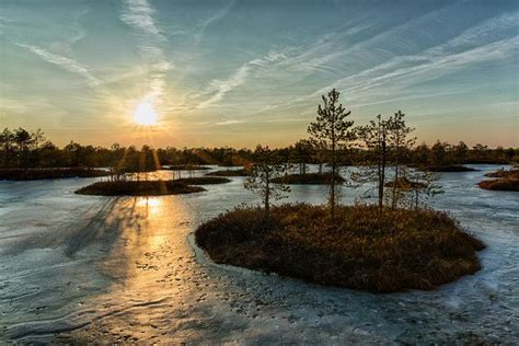 Melting bog islands (near lake Pado, Estonia). It's very beautiful in the bog during spring time ...