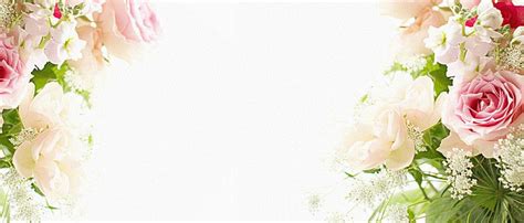 Rose Background | Floral Background, Flower background images, Wedding background images