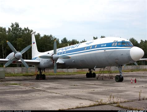 Ilyushin Il-22 Bizon - Aeroflot (Russia - Air Force) | Aviation Photo #1726101 | Airliners.net