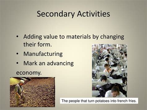 PPT - Levels of economic activities PowerPoint Presentation, free download - ID:4801375