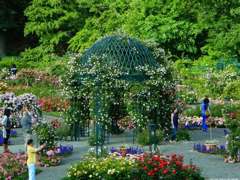 6 NYC Botanical Gardens You Can Visit Again this Summer - Untapped New York