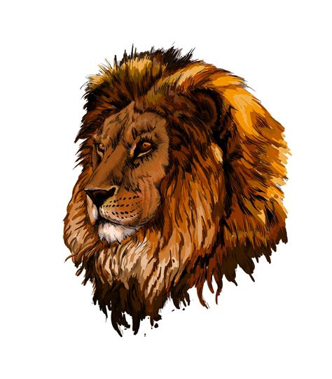 Lion head portrait from a splash of watercolor, colored drawing, realistic. Vector illustration ...